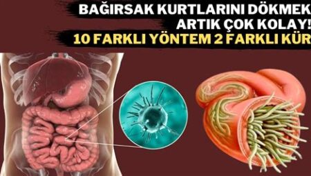 Doğal Yollarla Bağırsak Sağlığını Koruma Yöntemleri