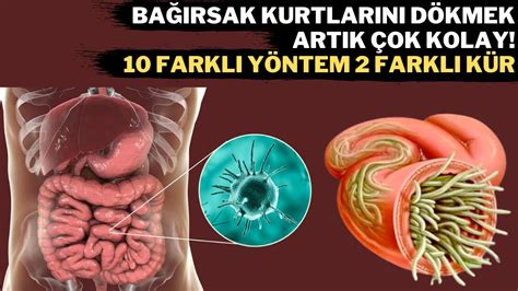 Doğal Yollarla Bağırsak Sağlığını Koruma Yöntemleri