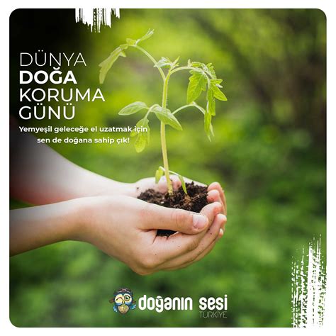 Doğal Hayat ve Koruma: Doğa Sevenler İçin Bilinçlendirme