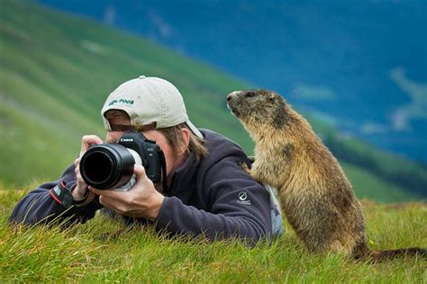 Doğa Fotoğrafçılığı İçin En İyi Zamanlar