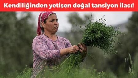 Doğada Kendi Kendine Yeterlilik