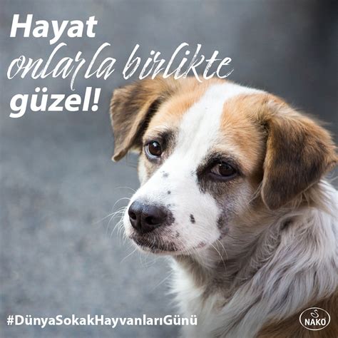 Hayatın Yavaşladığı Yer