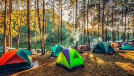 Kamp Alanı Planlama Rehberi