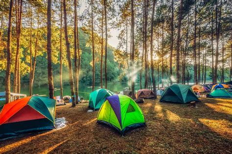 Kamp Alanı Planlama Rehberi