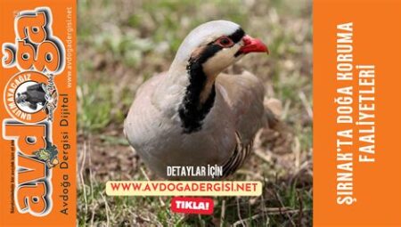 Kamp Alanında Doğa Koruma Faaliyetleri
