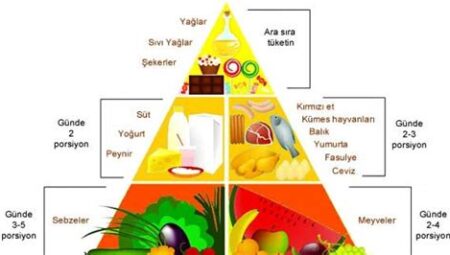 Kamp Alanında Sağlık ve Beslenme Önerileri