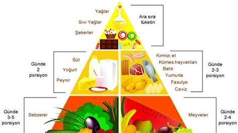 Kamp Alanında Sağlık ve Beslenme Önerileri