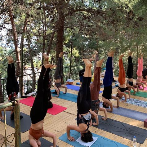 Kamp Alanında Yoga Kampı