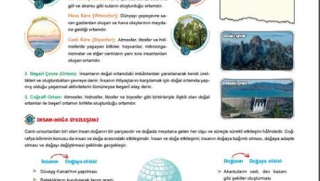Kampçılıkta Doğa ve İnsan İlişkisi ve Etkileşimi Analizleri