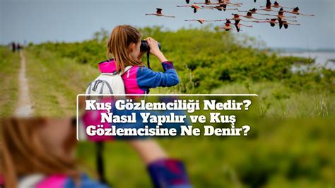 Kuş Gözlemciliğine Başlamak