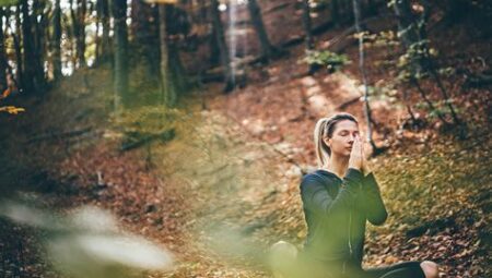 Orman İçinde Meditasyon Pratikleri