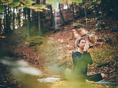 Orman İçinde Meditasyon Pratikleri