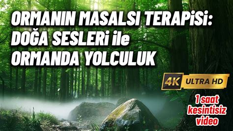 Ormanda Doğa Terapisi