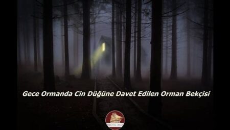 Ormanda Gece Güvenliği