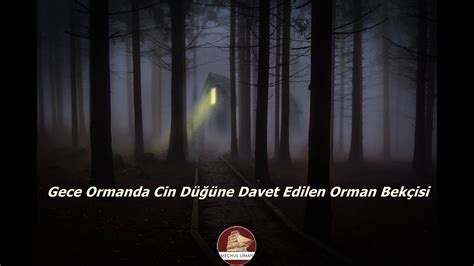 Ormanda Gece Güvenliği