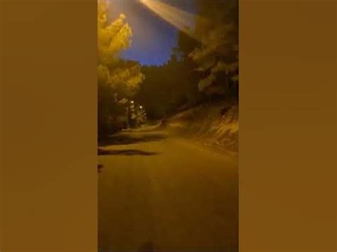 Ormanda Gece Yürüyüşü
