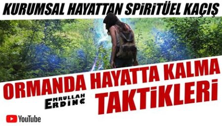 Ormanda Hayatta Kalma Taktikleri