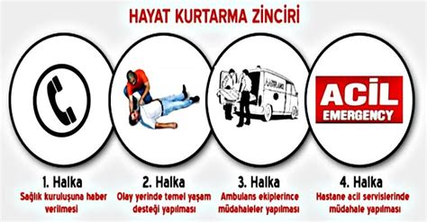 Ormanda Kampçılıkta İlk Yardım Teknikleri ve Acil Durum Planları Rehberi