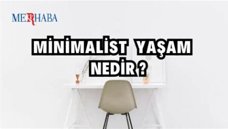 Ormanda Minimalist Yaşam Denemesi