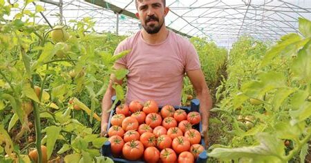 Şehir Hayatını Bırakıp Karavana Geçmek