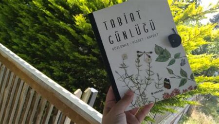 Tabiat Günlüğü Nasıl Tutulur?