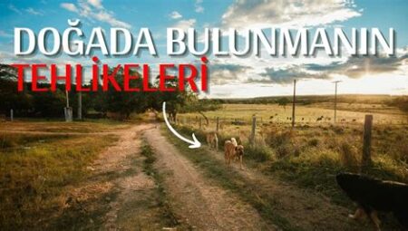 Vahşi Doğada Güvende Kalmak