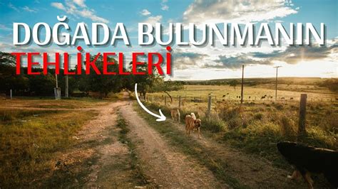 Vahşi Doğada Güvende Kalmak