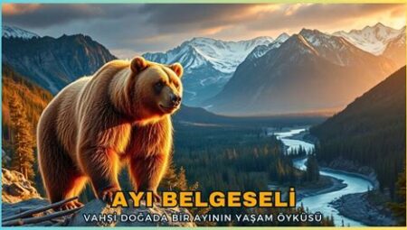 Vahşi Doğanın İzinde