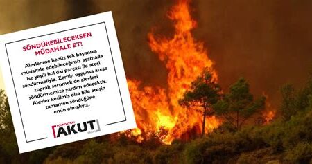 Vahşi Hayatla Karşılaşınca Ne Yapmalı