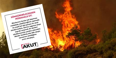Vahşi Hayatla Karşılaşınca Ne Yapmalı