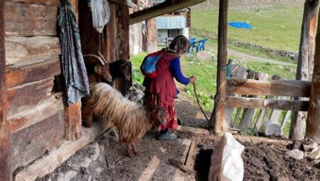 Yayla Hayatı Deneyimi